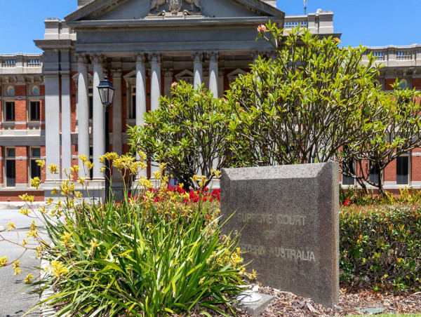  WA mum murdered three kids before burning them 