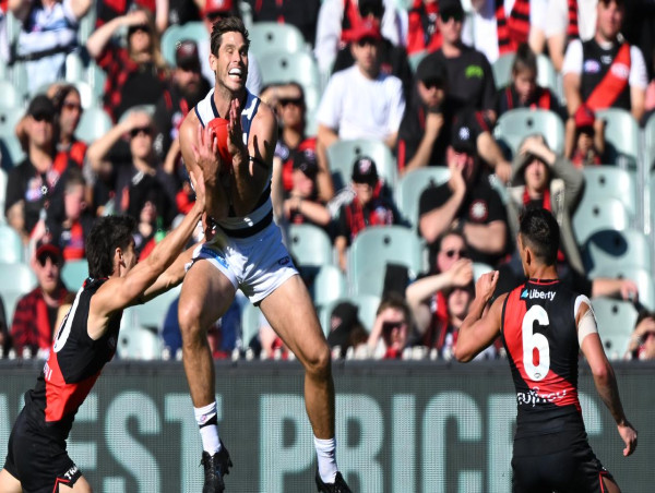  Hawkins kicks eight as Cats brush aside Bombers 