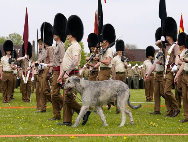  RAF airbase transformed for troops’ coronation procession rehearsal 