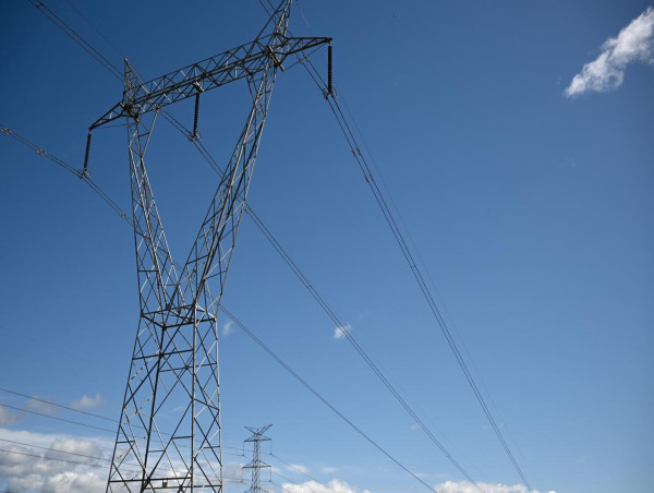 Energy regulator concedes can do better on poles, wires