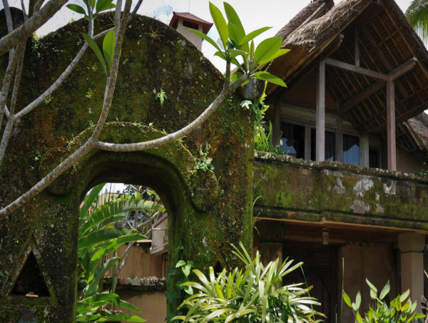  Moss the boss for nourishing earth and capturing carbon 