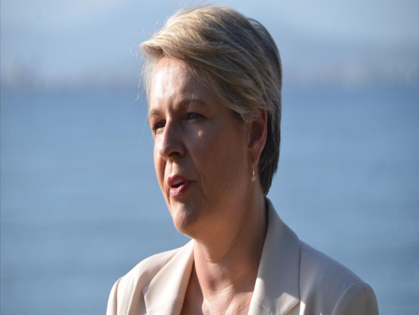 New coal mines plans buried by federal minister