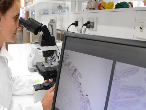  Artificial intelligence stopping chemo side effects 