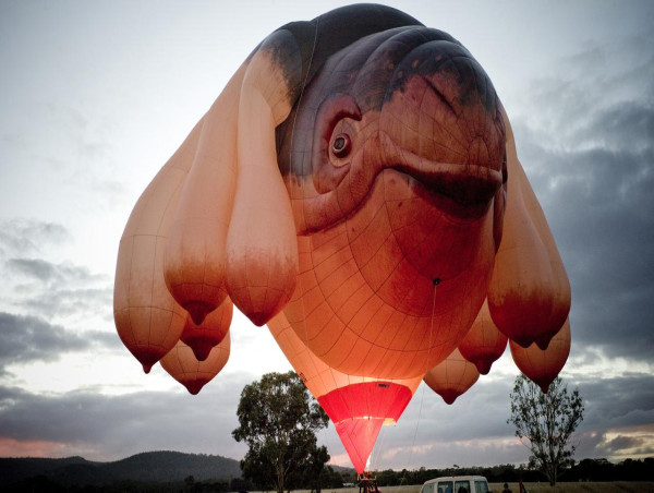 Skywhale and family soar above NSW to end national tour