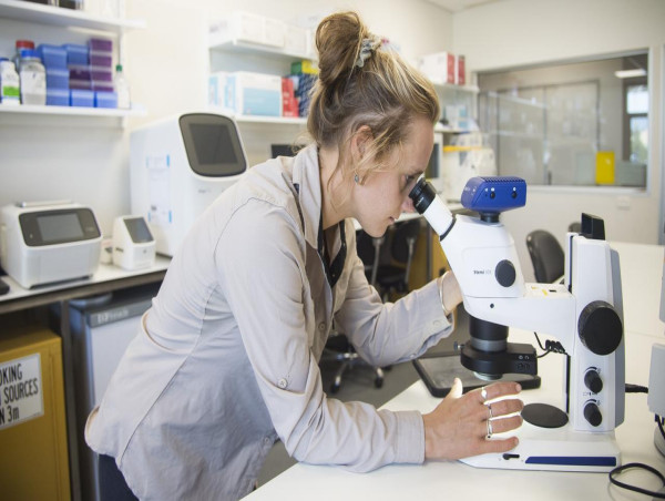  Business as usual budget 'falls short' on science, tech 