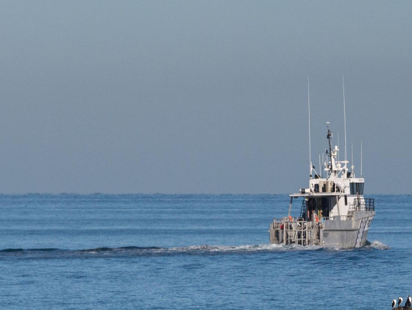  Shark attack search finds pieces of wetsuit, surfboard 