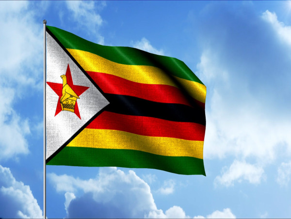 Zimbabwean dollar collapsing: ZWL/USD down 94% in a year & capital controls increasing