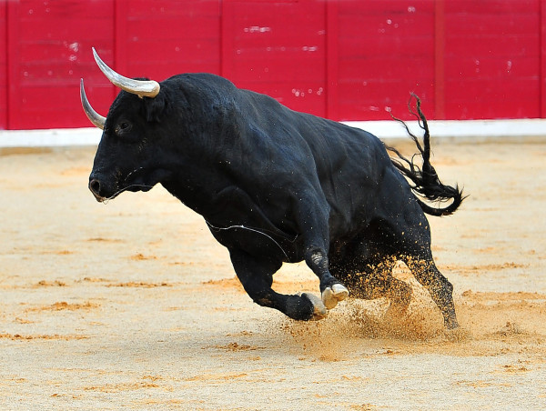  Bitcoin hits $30k as greed takes over: Next stop $40k? 