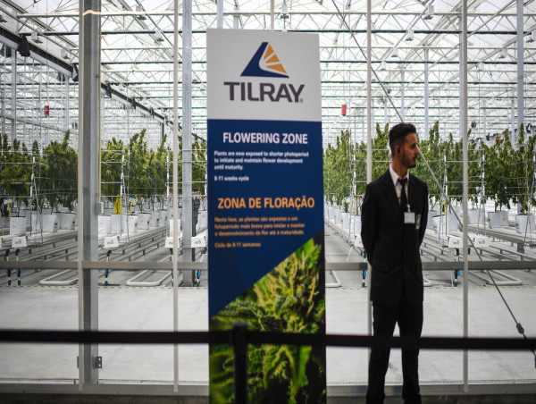 SNDL, Tilray stock price forecast: plot thickens for cannabis stocks