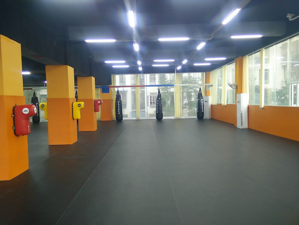 Transition in Sales Signals Shift in Gym Mats Industry from Home Gyms to Professional Facilities