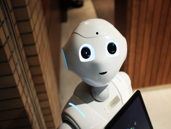 Shiba Memu outlook as expert dubs not embracing AI a ‘threat’