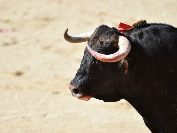  Bitcoin (BTC) displays bullish signals as exchange supply hits 5-year low 
