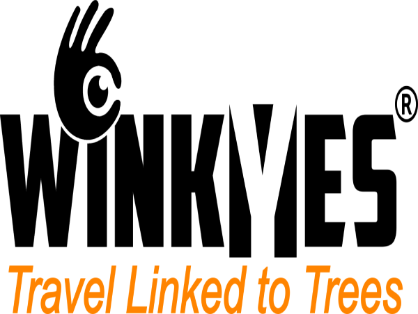 WINKYES Launches