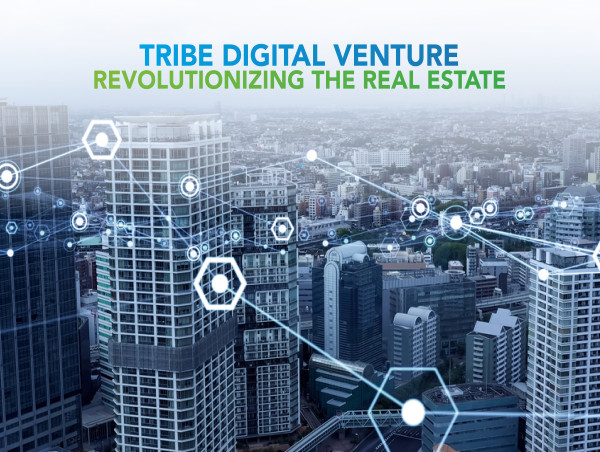  Revolutionizing Real Estate with Blockchain and TDV token 