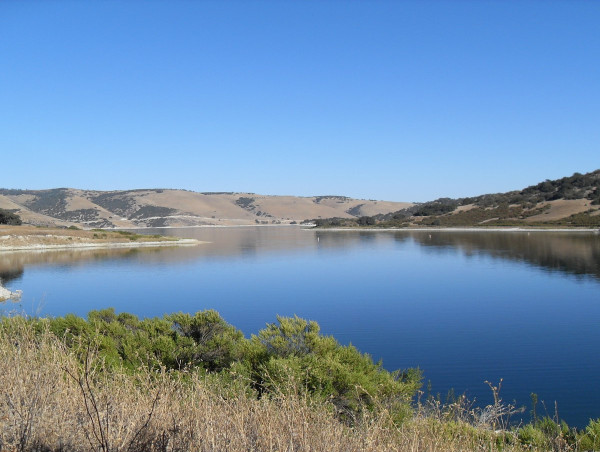  Alpha Win Introduces Brand New Triathlon at Historic Wildflower Location 