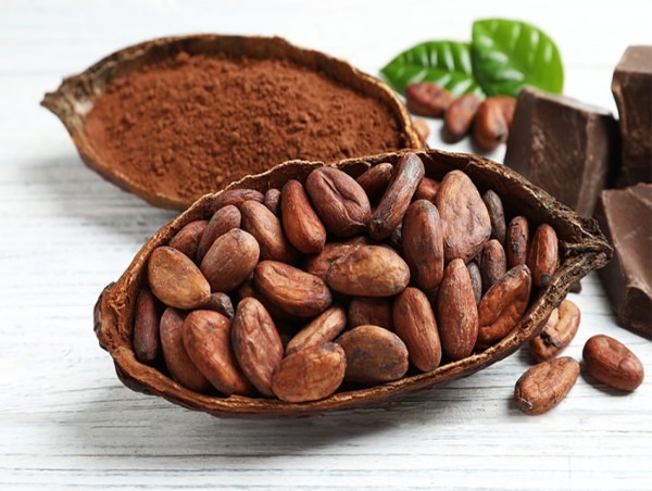 Cocoa Market Latest Trends, Industry Size and Future Prospects 2027 | Toutan S.A., Barry Callebaut AG