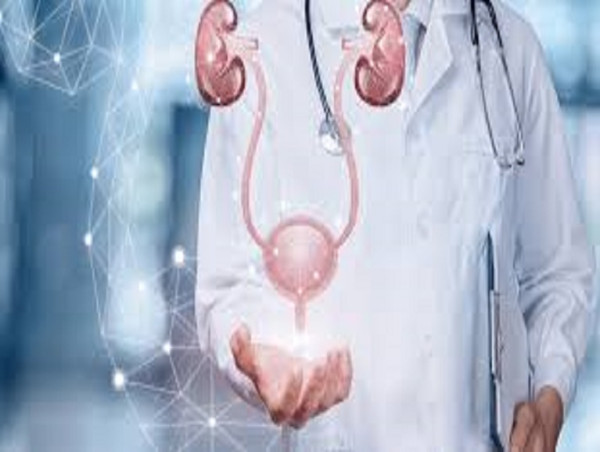  Interstitial Cystitis Market Size To Hit US$ 3,286.5 Million By 2033 | IMARC Group 