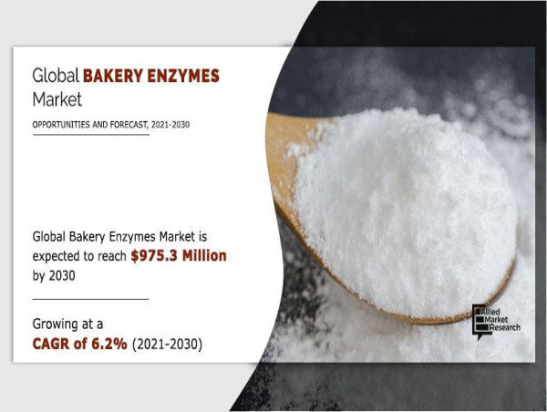  Rapid Growth expected in Bakery Enzymes Market: expected to exceed at CAGR of 6.2% by 2030 