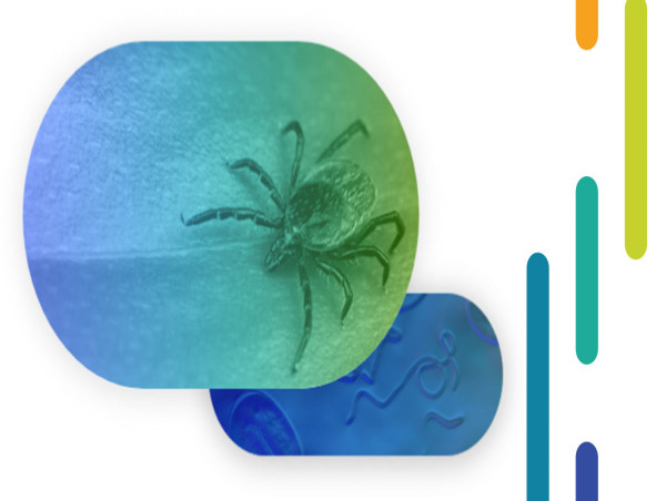 Incite Health, Inc. Announces the Launch of a New Paradigm in Lyme Disease Testing