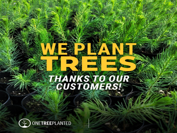  Vibe Adventures Partners with OneTreePlanted to Plant Trees for a Greener Future 