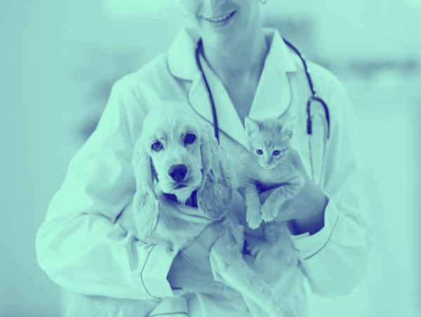  Veterinary Healthcare Market Demand Makes Room for New Growth Story | Zoetis, Virbac, Zoetis 