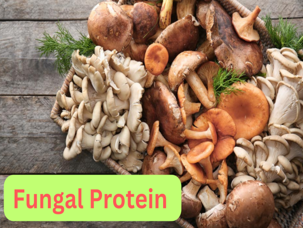 Fungal Protein Market Drivers Shaping Future Growth, Revenue USD 386.6 million by 2030 | CAGR 9.5%
