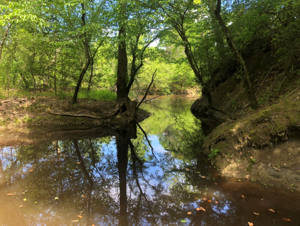  UPPER MATTAPONI INDIAN TRIBE REACQUIRES ANCESTRAL LANDS 