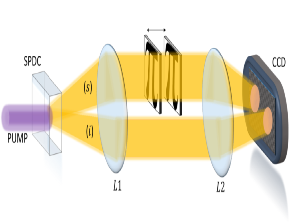  Enhanced Quantitative Phase Imaging via Quantum Enhancement without Interference 