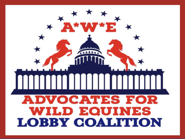  Protest scheduled at BLM Reno Office as Death Toll Continues to Soar at Wild Horse Roundup in Nevada 