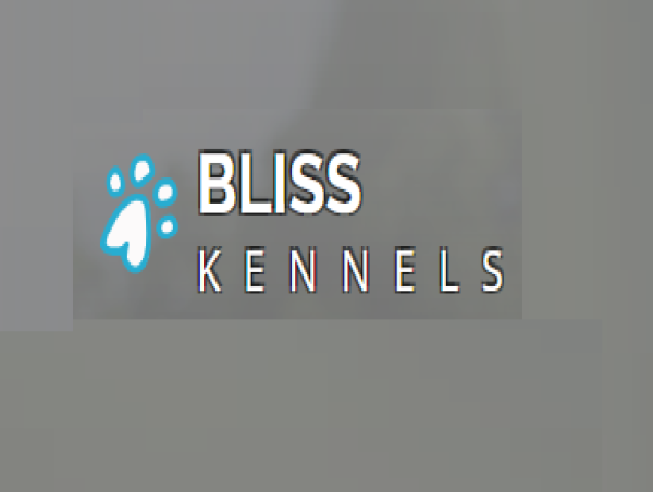 Bliss Kennels Introduces Aussiedoodles As The Latest Breed