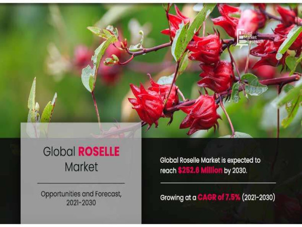  Roselle Market Rising Share, Future Size, Financial Summaries Analysis By 2030 | Roselle Farms, Guangzhou Runming Tea Co 