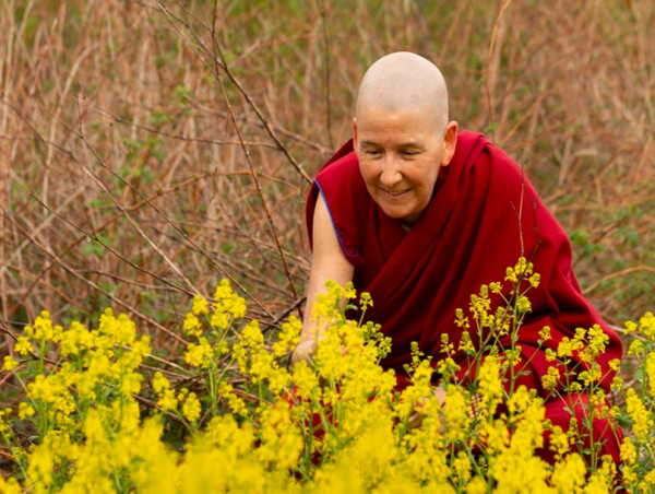  A Buddhist nun going off-grid in mid-coast Maine 