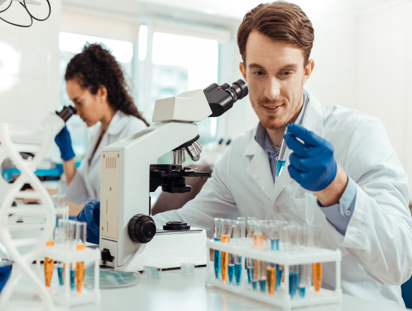  A Comprehensive Overview of Modern DNA Testing Services 