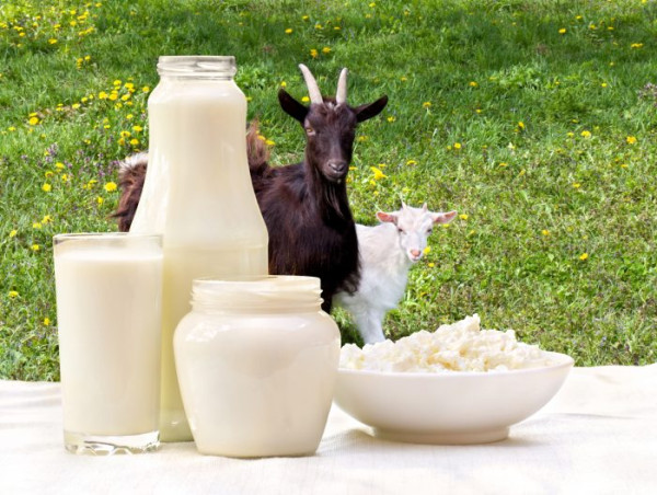  With 3.8% CAGR, Goat Milk Market Value to Surpass USD 11.4 Billion by 2026 