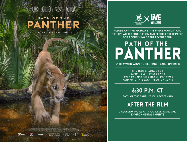  Florida State Parks Foundation and Live Wildly to present Carlton Ward’s ‘Path of the Panther’ film screening 