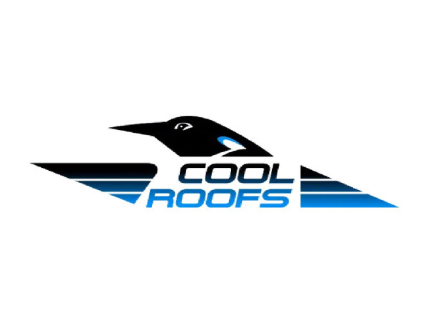  Cool Roofs Provides Residential Roofing Services 