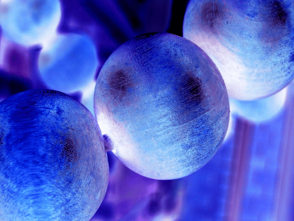  Industrial Enzymes Market Segmentation, Industry Analysis, Growth Opportunities 2023-2028 