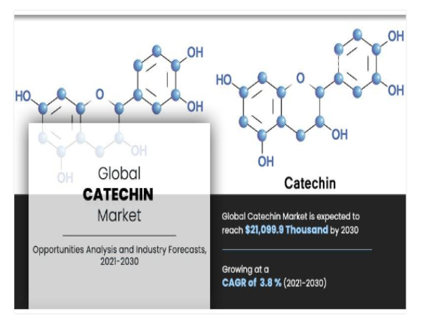 Catechin Market to Reach USD 21,099.9 thousand by 2030 | Size, Growth & Future Trends