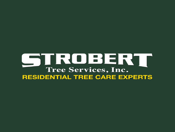 Emergency Tree Removal Experts, Strobert Tree Services, Offer Swift Solutions for Residents of Wilmington, Delaware