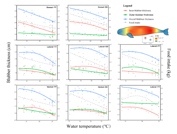 Adapting to Water Temperature Changes: The Smart