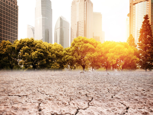 Algorand (ALGO) partners with Clinton Foundation to address climate change