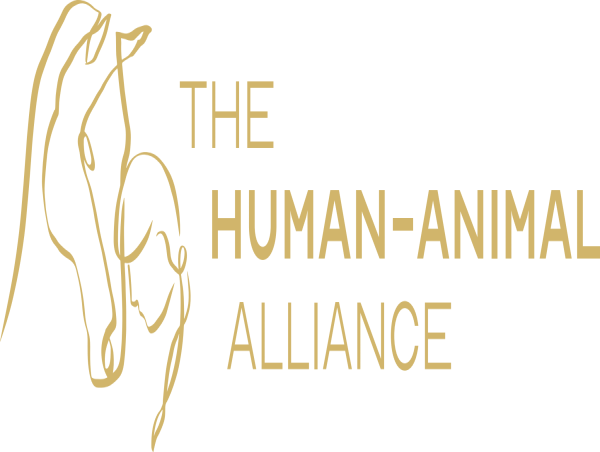 Granting Hope: The Human-Animal Alliance Empowers Animal Therapy Program for Young Women in Need