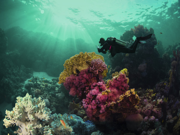 Quintana Roo A Destination To Enjoy And Extend The Summer