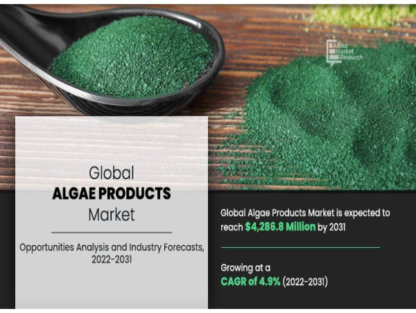 Algae Products Market Share Worth $4.28 Billion by 2031 With CAGR of 4.9%