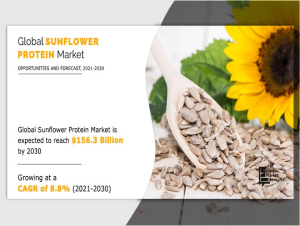  Sunflower Protein Market Share Is Likely To Reach a Valuation of Around $156.3 Million by 2030 