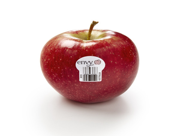  Australian envy™ apple harvest delivers an increased volume to meet consumer demand 