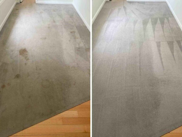  Carpet Cleaners Mornington Peninsula: Elevating Cleanliness and Comfort Across the Region 
