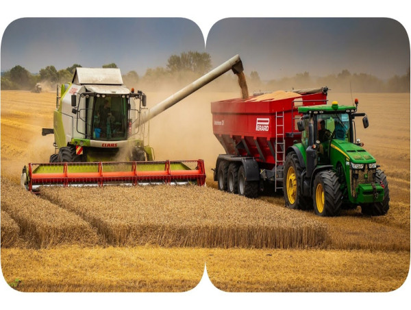  Crop Harvesting Machinery Market Is Booming So Rapidly | Grimme Group, Pottinger, Lemken 