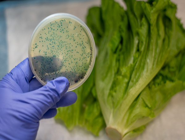 Controlled Environments Such as GrowPods from ACTX May Help Solve America’s Dangerous Food System Documented by Netflix