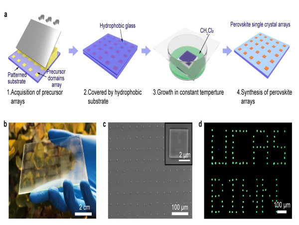  Controlled On-chip Fabrication of Large-scale Perovskite Single Crystal Arrays for High-performance Laser 